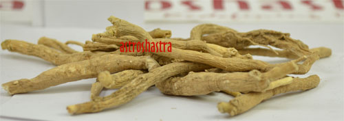 Ashwagandha