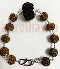 Rudraksh Beads & Pendants