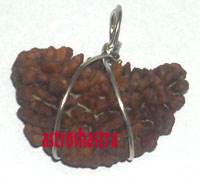 Rudraksh Beads & Pendants