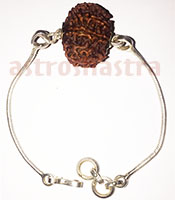 Rudraksh Beads & Pendants