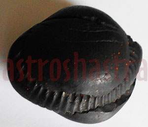 Lakshmi Keshav Shaligram