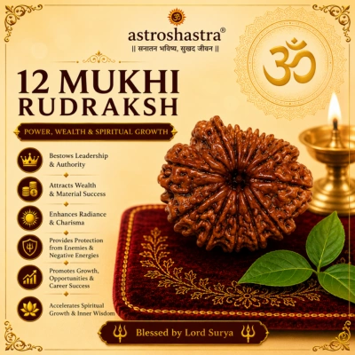 12 Mukhi Rudraksha
