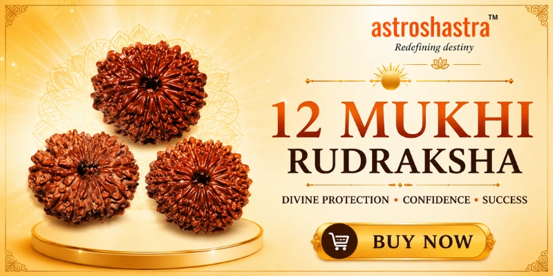 Original Twelve Mukhi Rudraksha