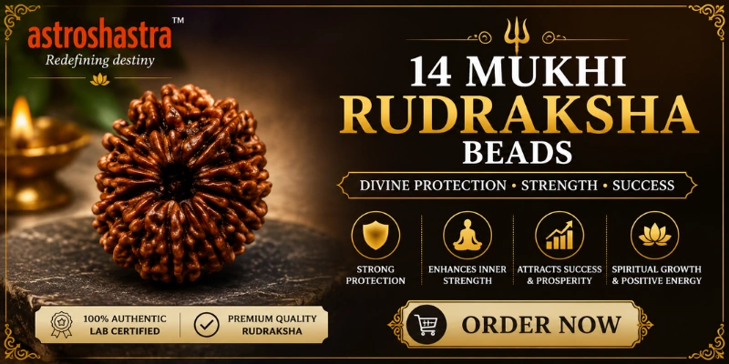 Fourteen Mukhi Rudraksha