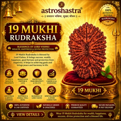 Nineteen Mukhi Rudraksha