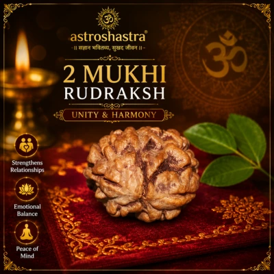 Two Mukhi Rudraksha