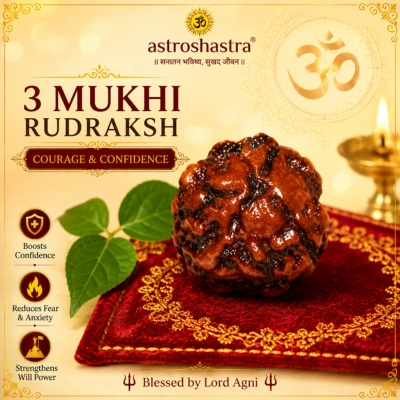 Three Mukhi Rudraksha