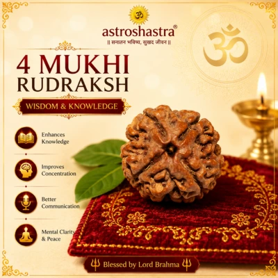 Four Mukhi Rudraksha