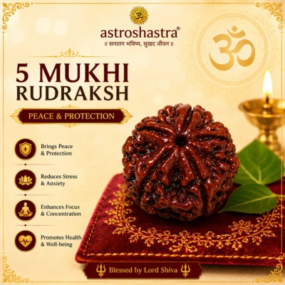 5 Mukhi Rudraksha