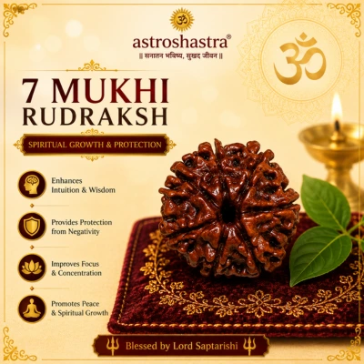 7 Mukhi Rudraksha