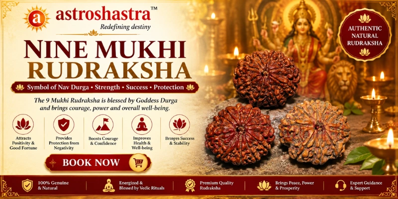 Nine Mukhi Rudraksha